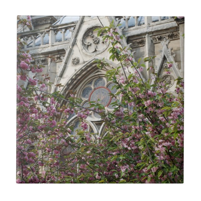 Notre Dame primavera (Frente)