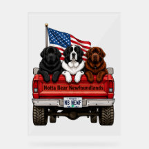 Notta Bear Newfoundlands – Coleta Patriótica