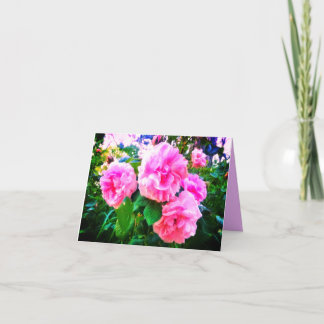 NOVA! CARTÃO DE SAUDAÇÕES COM ROSAS ROSAS
