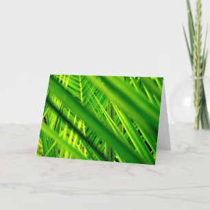 (Nova Chegada) Cartão de Saudação