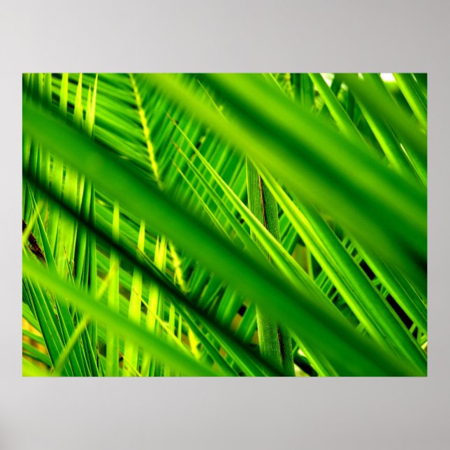 (Nova Chegada) Poster Impressão (Frente)