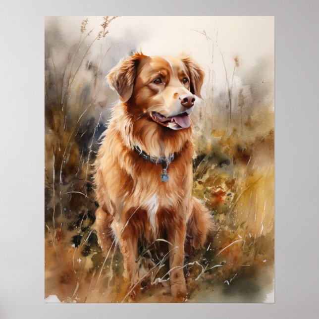 Nova Escócia Duck Tolice Retriever Dog Art Poster (Frente)