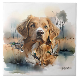 Nova Escócia Duck Tolling Retriever, Arte