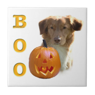 Nova Escócia Halloween BOO