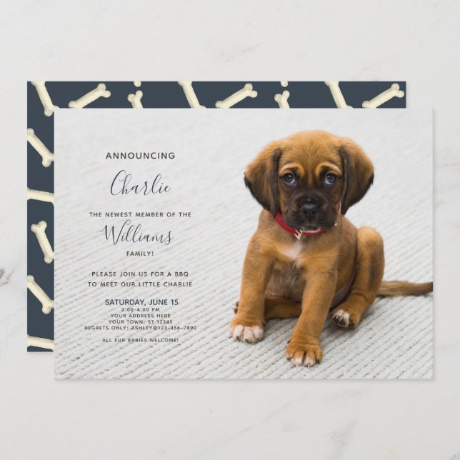 Nova Foto de Anúncio de Adoção de Kitten (Frente/Verso)