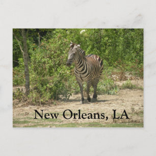 Nova Orleans, cartão postal LA