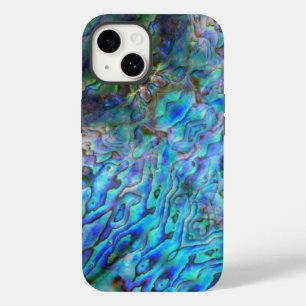 NOVA ZEALAND KIWI PAUA