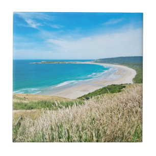 Nova Zelândia, Ilha do Sul, Catlins, Baía de Tautu