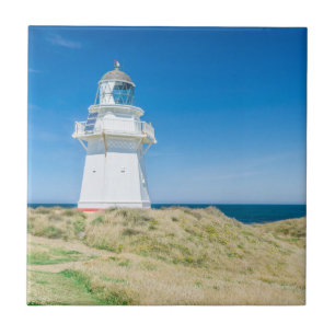 Nova Zelândia, Ilha do Sul, Catlins, Waipapa