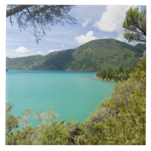 Nova Zelândia, Ilha do Sul, Marlborough Sounds.