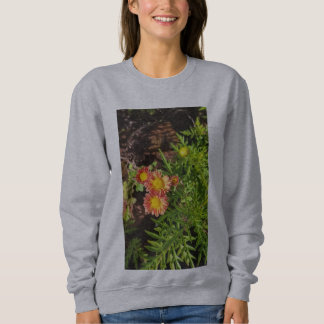 Novas Camisetas de Design e muito mais