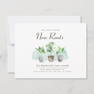 Novas Raízes Movendo Novo Anúncio de Endereço