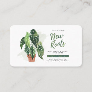 Novas Raízes Mudámos o Anúncio de Movimentação de