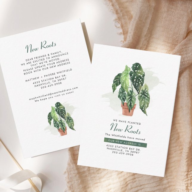 Novas Raízes Mudando a Mudança do Anúncio de Ender (Potted Plant Modern Moving Announcement)