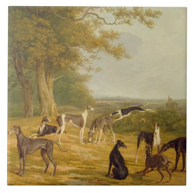 Nove galgos em uma paisagem (óleo em canvas) (Frente)