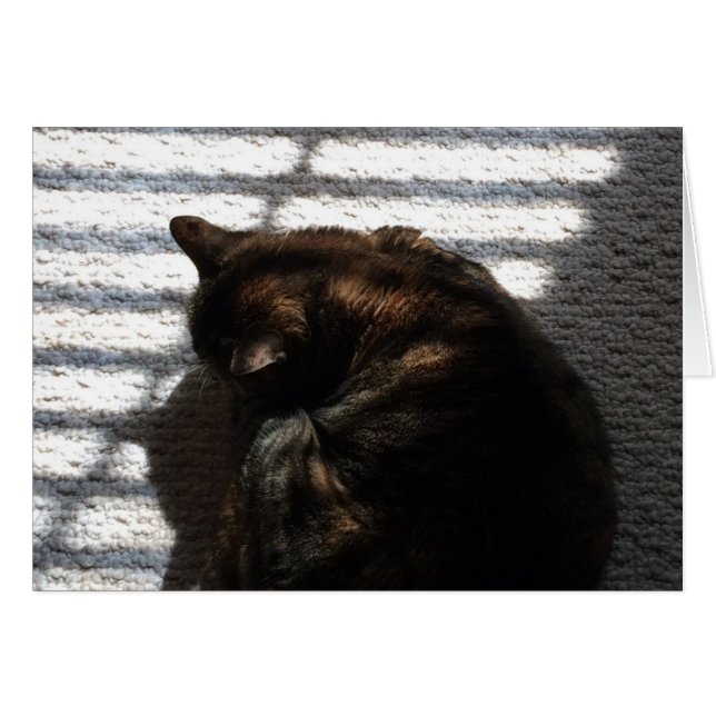 Nove-time Nap, cartão (Frente Horizontal)