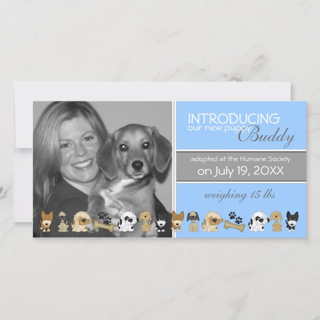 Novo Anúncio de Adoção de Cão (Frente)