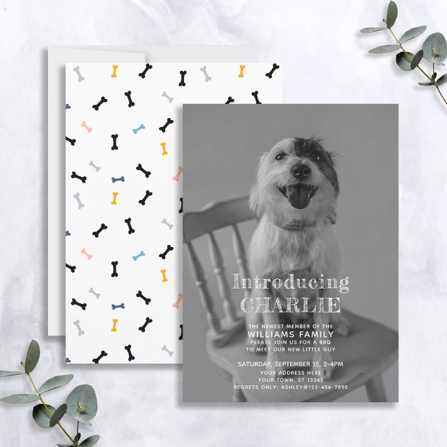 Novo Anúncio de adoção de foto em puppy (Criador carregado)