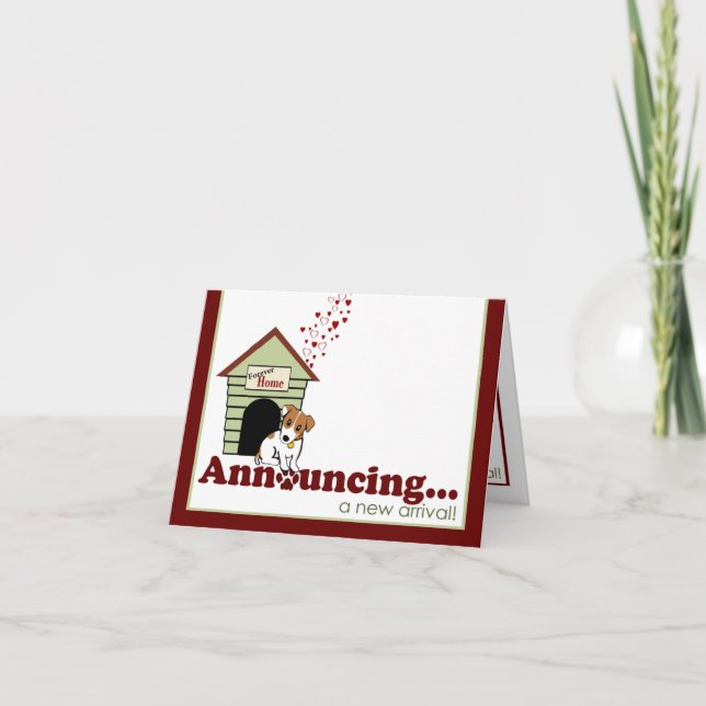 Novo Anúncio de "Cachorro" (Frente)