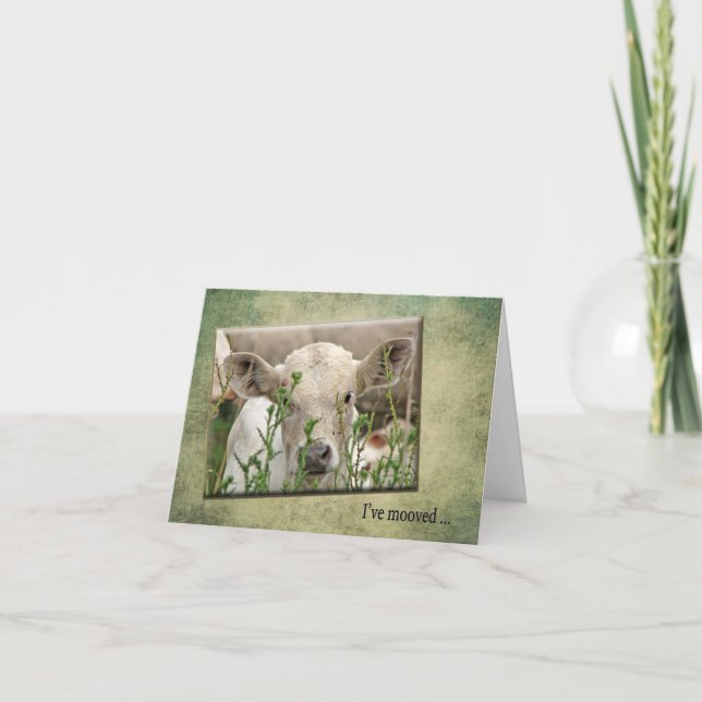 Novo anúncio de endereço (Frente)