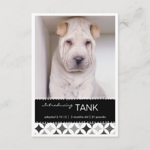 Novo Anúncio de Foto B&W nos Círculos Retroativos 