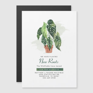 Novo Anúncio de Mudança de Endereço 