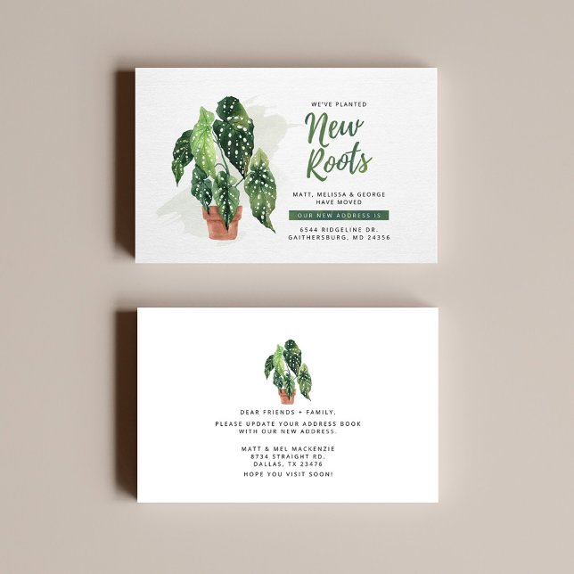 Novo Anúncio de Mudança de Endereço (Criador carregado)