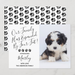 Novo anúncio de "Pet Dog Puppy"