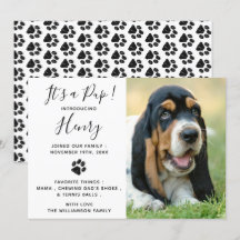 Novo anúncio de "Pet Dog Puppy"