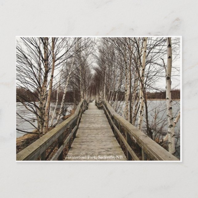 Novo Brunswick, Canadá Cartão Postal (Frente)