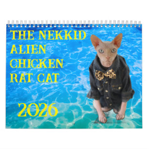 Novo Calendário 2026