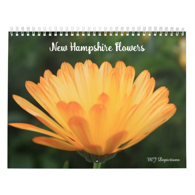 Novo Calendário da Flora Hampshire 4 (Capa)