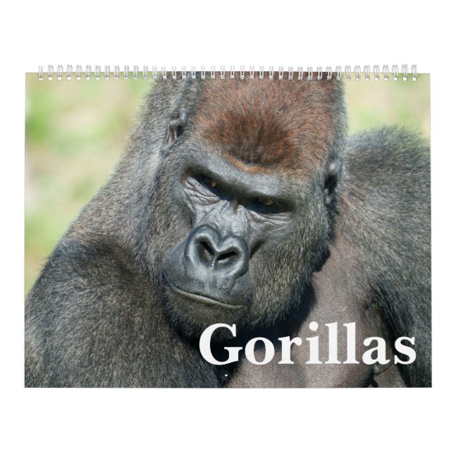 NOVO Calendário Gorilla 2026 (Capa)