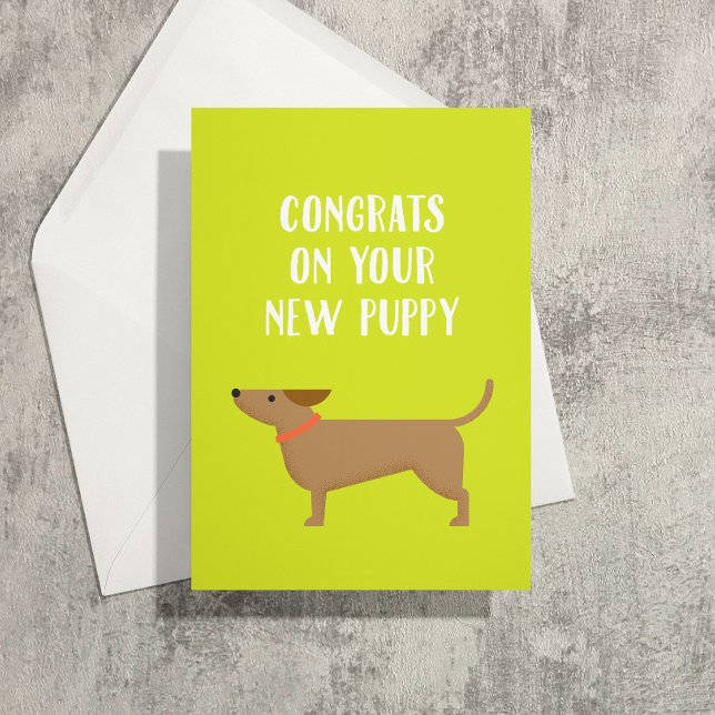Novo Cartão de Saudação Puppy Parabéns (Dachshund puppy congrats on the new puppy and a lifetime of collecting poop in tiny bags)