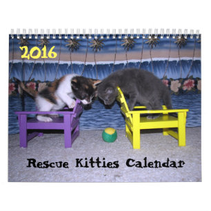 ****NOVO para 2016!!! ***** Calendário de Gatinhos