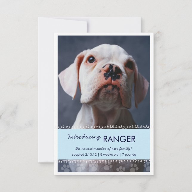 Novo Pet Male Blue Paw Prints para o anúncio de Me (Frente)