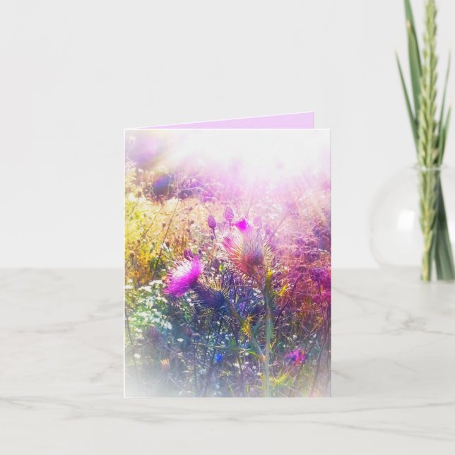 NOVO SOL NO PEQUENO CARTÃO DE VERMELHA (Frente)