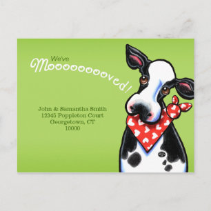 Novos Anúncios de Vaca Sweetheart Movido