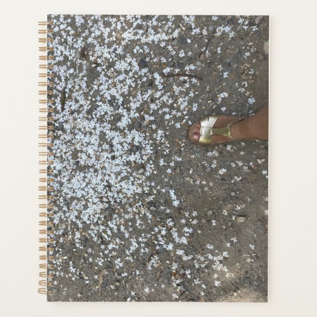 Novos Início e Primeiro Planejador de Etapas (Frente)