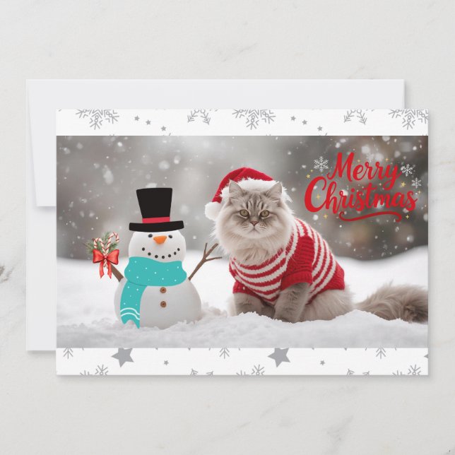 Noz Exótica Shorthair Cat Natal Personalizado (Frente)