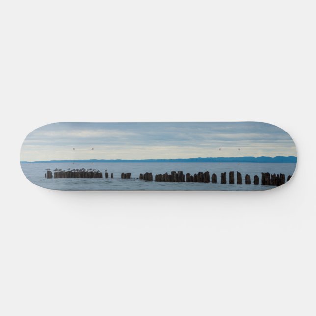 Nublado No Quadro De Skateboard De Whitefish Bay (Horz)