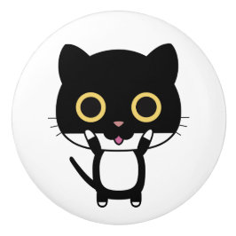 Núcleo Cerâmico. Gato.