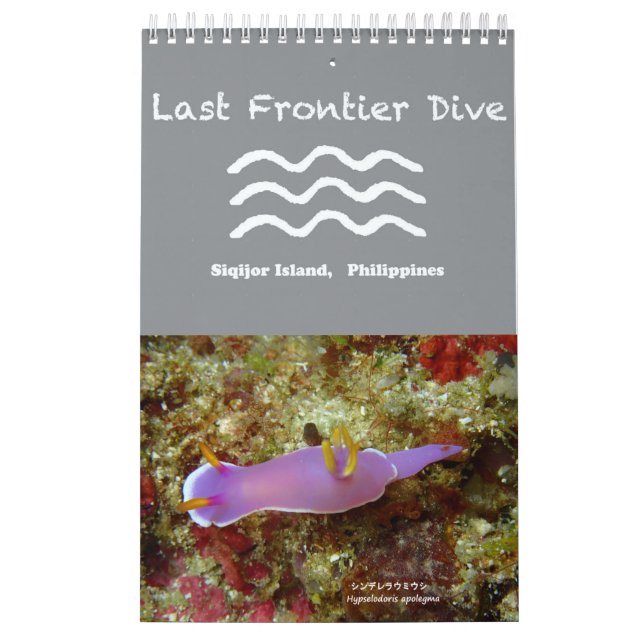 Nudibranchos em Siquijor: Calendário da Área de Tr (Capa)