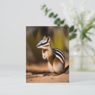 Numbat Australiano, Cartão Postal