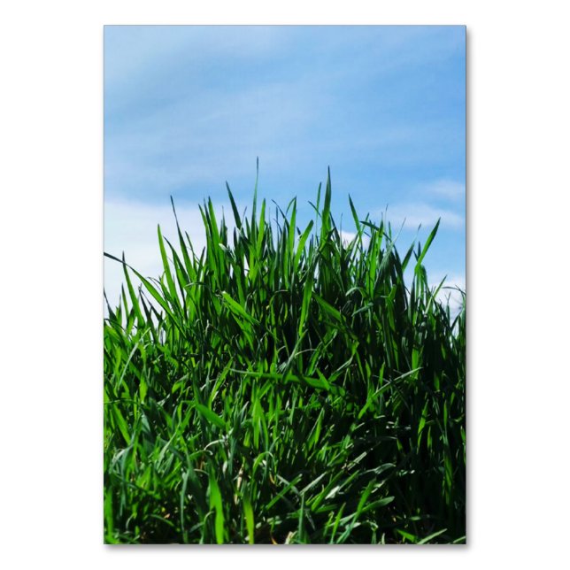 Numeração De Mesa A relva verde no fundo do infinito (Frente)