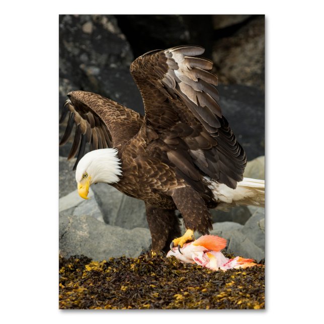 Numeração De Mesa A Última Águia Bald (Frente)