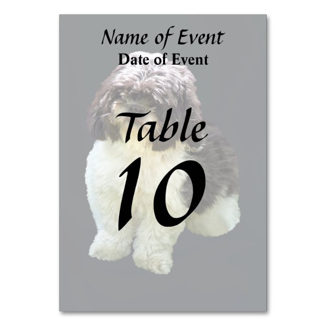 Numeração De Mesa Adorável cachorrinho Shih Tzu (Frente)
