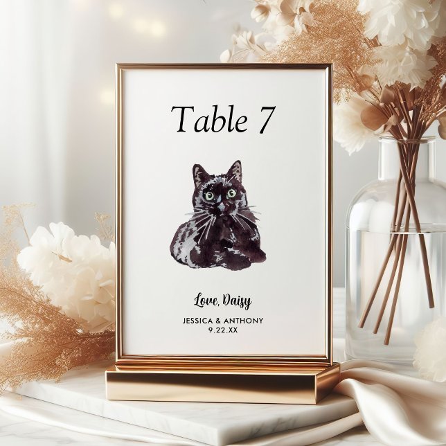 Numeração De Mesa Água-marinha Simples Gato Casamento  (Criador carregado)