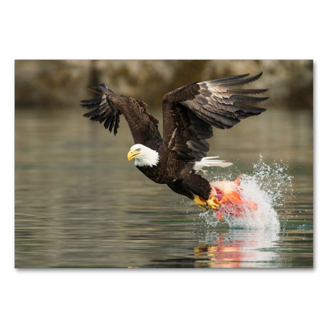 Numeração De Mesa Águia Balda Explosiva (Frente)