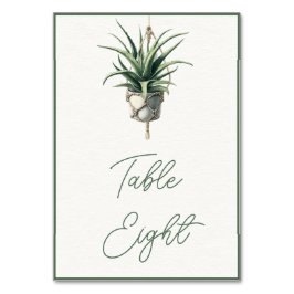 Numeração De Mesa Aloe: Mínimo da Planta de Verde Botânica Boho